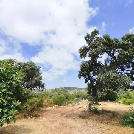 Quinta Azul Villa *