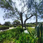 Quinta Azul لول