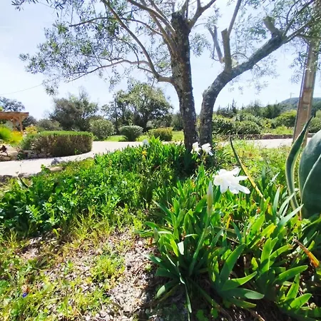 Villa Quinta Azul Loule