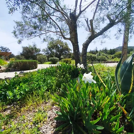 Quinta Azul Villa