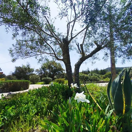 Quinta Azul Loule