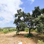 Quinta Azul
