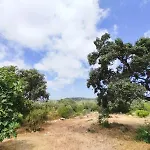 Quinta Azul Villa *