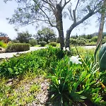 Villa Quinta Azul Loulé