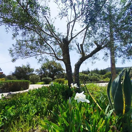 Quinta Azul 楼尔